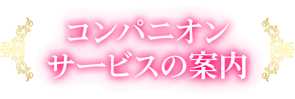 コンパニオンサービスの案内